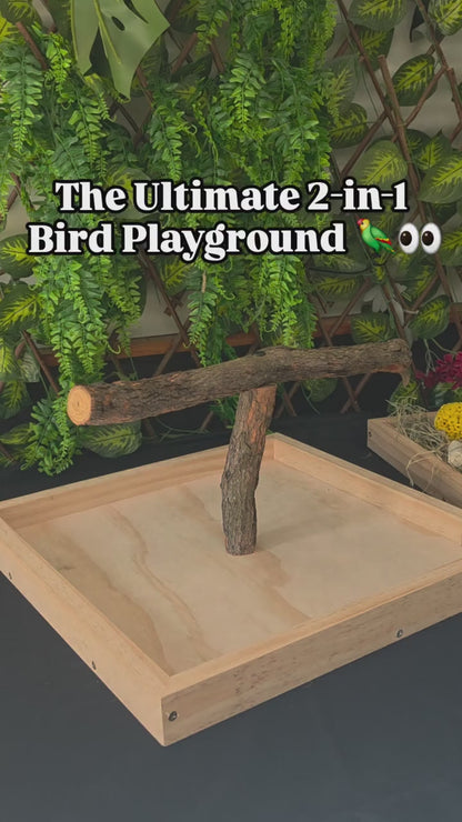Birdnerd Dual-Purpose Training & Foraging Stand