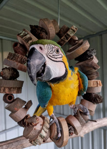 Birdnerd Aussie Natural Macaw O Swing