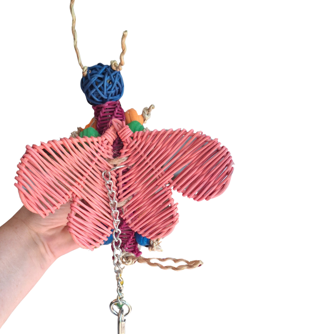 Butterfly Chew & Play