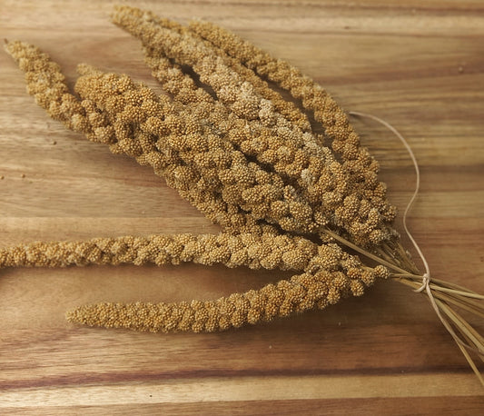 Millet Spray (Excl. TAS & WA)