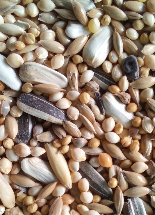 Small Parrot Seed Mix